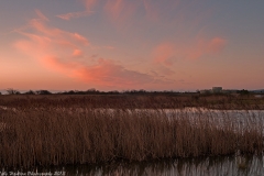 Castle Water sunrise, Rye, East Sussex