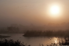 Misty start at Castle Water, Rye, East Sussex