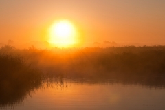 Rye sunrise