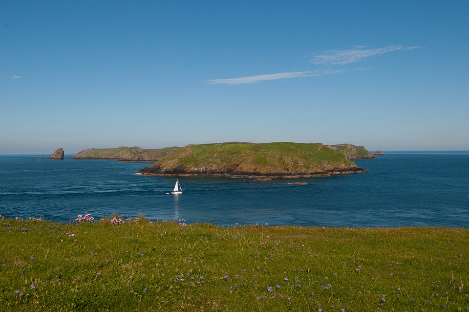 View of Skomer from Deer Park